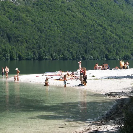 Guest house Cerkovnik 3*