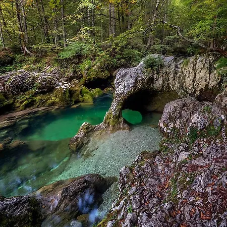 Casa de hóspedes Cerkovnik Bohinj