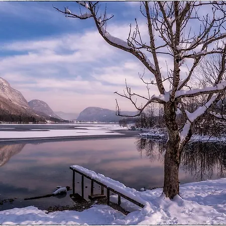 Casa de hóspedes Cerkovnik 3*