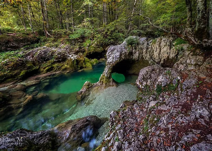 Hiša za goste Cerkovnik Bohinj